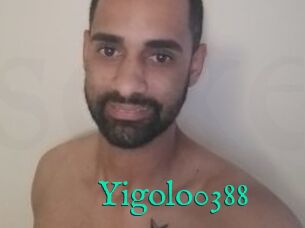 Yigolo0388