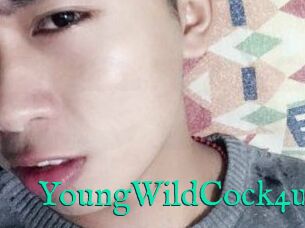 YoungWildCock4u