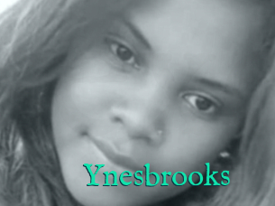 Ynesbrooks