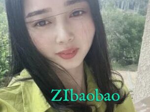 ZIbaobao