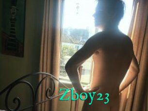 Zboy23