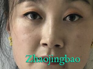 Zhaojingbao