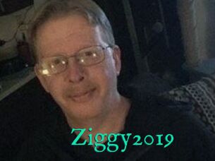 Ziggy2019