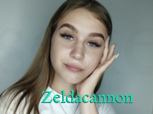 Zeldacannon